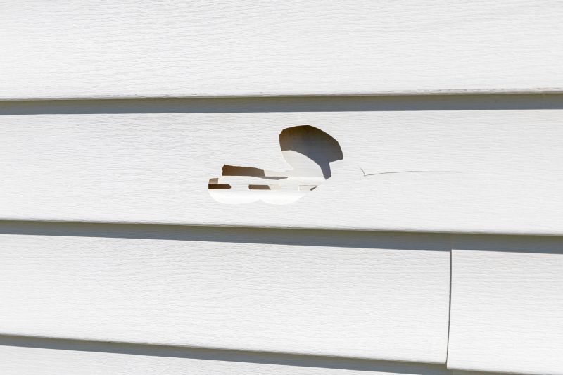 Expert Siding Assessment